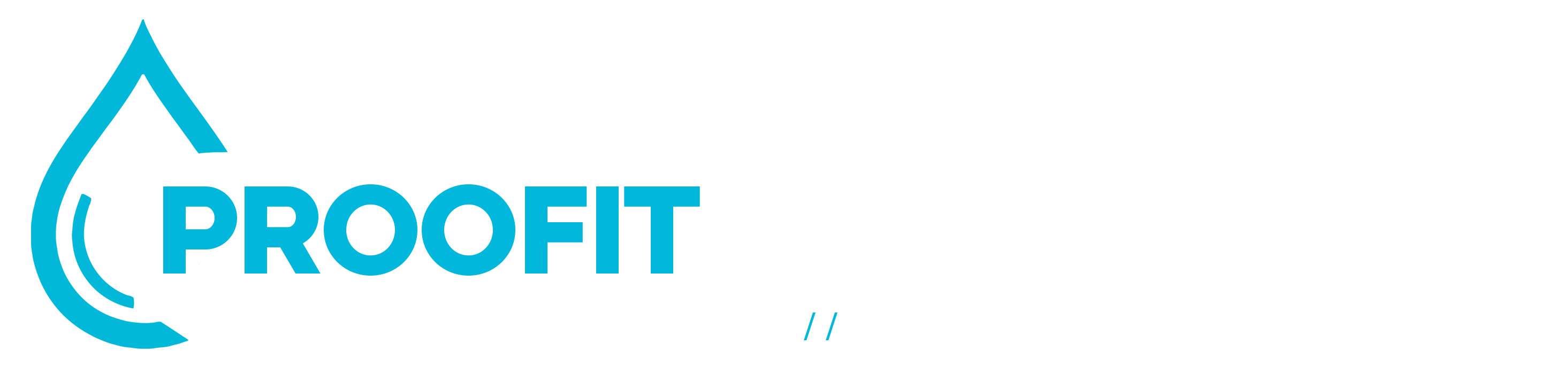 proofit-hero-protect