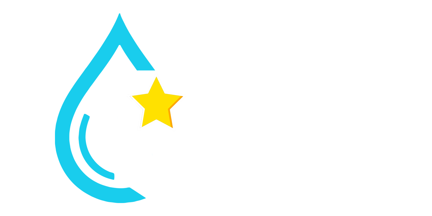 5-star-reviews 5-star-reviews